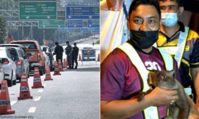 My Post 2021 10 13T105100.939