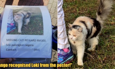 My Post 2021 10 18T234226.304