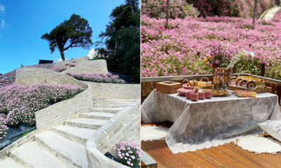 My Post 2021 10 20T103346.835