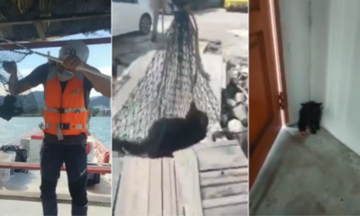 My Post 2021 10 22T154102.131