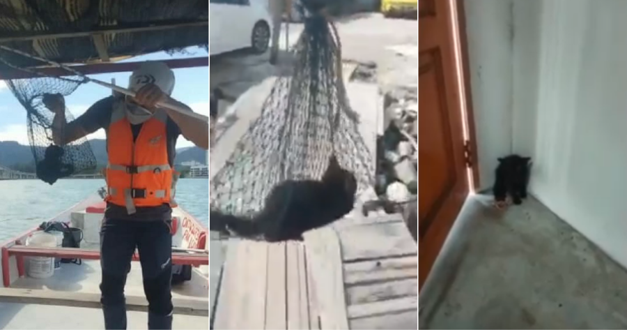 My Post 2021 10 22T154102.131