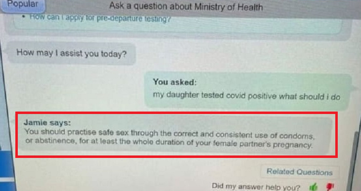 chatbot wrong reply singapore