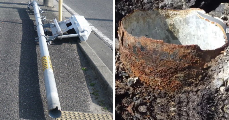collapse pole suzuka japan lol dog