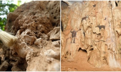 perlis exploration discovery