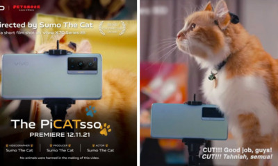 AAA template Recovered 1