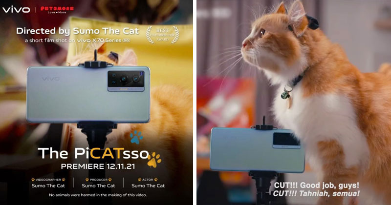 AAA template Recovered 1