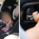 Baby left inside car