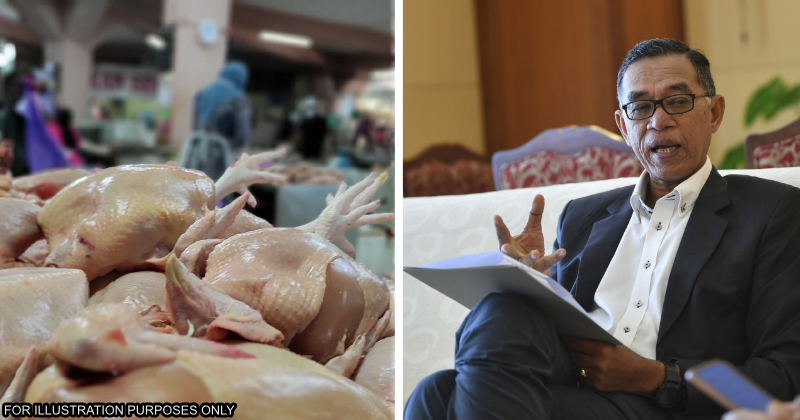 Chicken price hike to be resolved kpdnhep