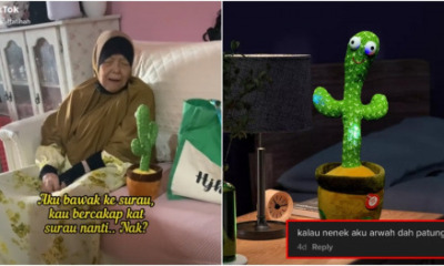 FT Image Makcik Vs Cactus 1.0 e1637739835647
