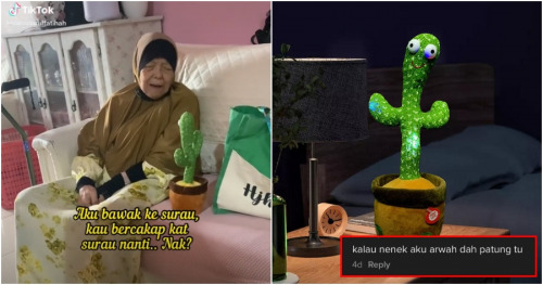 FT Image Makcik Vs Cactus 1.0 e1637739835647