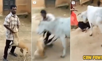 My Post 2021 11 10T145231.682