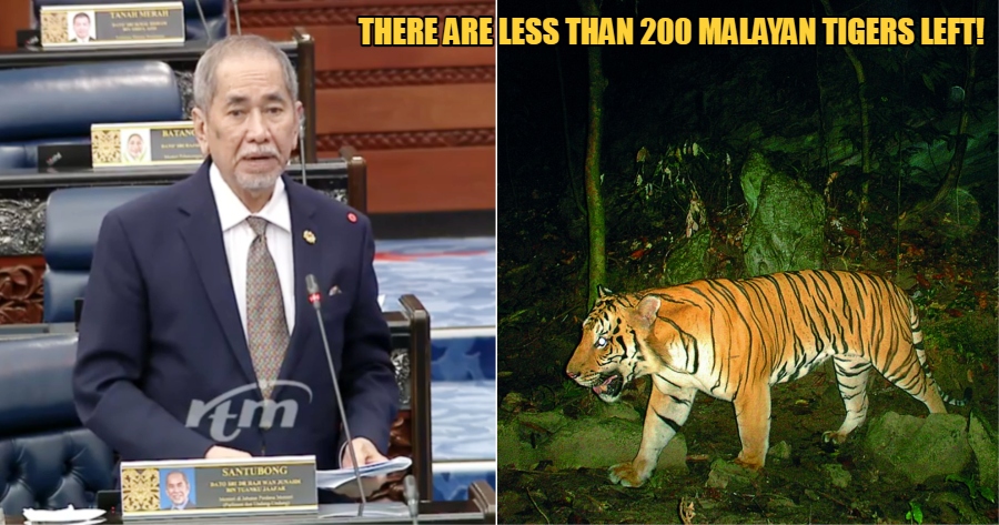 My Post 2021 11 11T142025.109