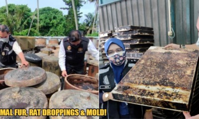 My Post 2021 11 12T101111.525