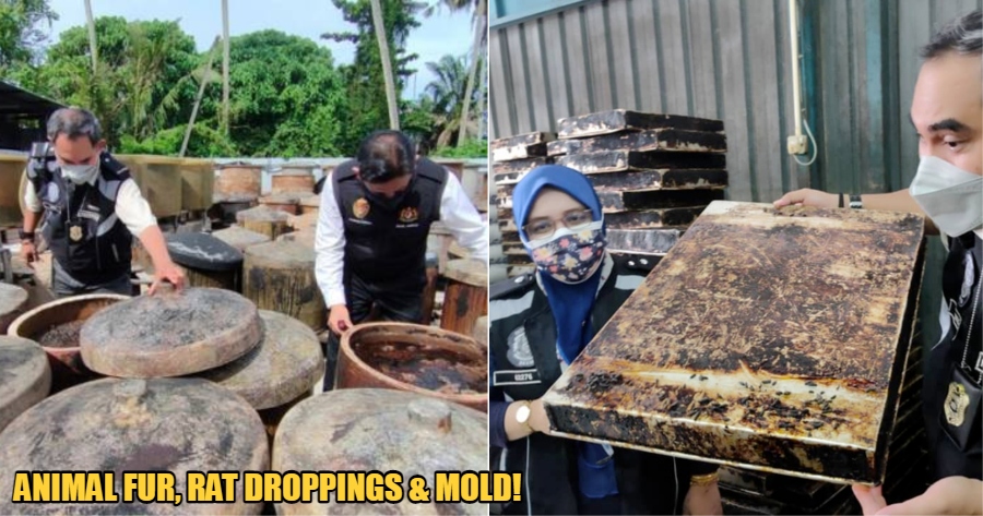 My Post 2021 11 12T101111.525