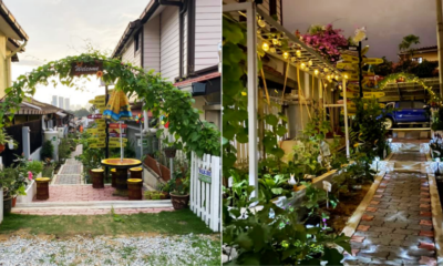 My Post 2021 11 18T124122.528