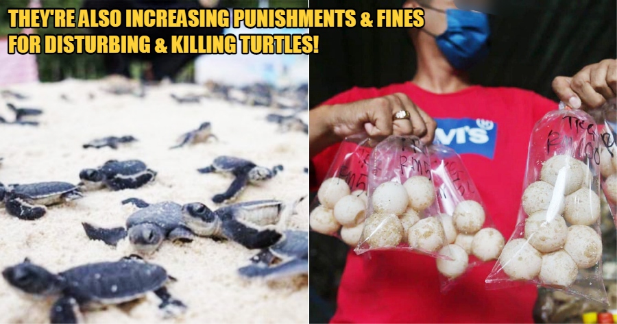 My Post 2021 11 23T164324.731