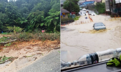 My Post 2021 11 24T102122.718