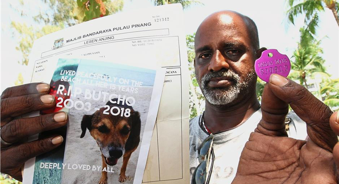 Penang City Council Sued For Killing Dog