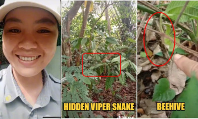 backgroundmalaysianranger