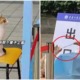 cat in china gets swab test 4