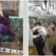 joker impersonator stabs train passengers tokyo