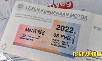 renew road tax