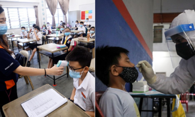 weekly covid test for primary students