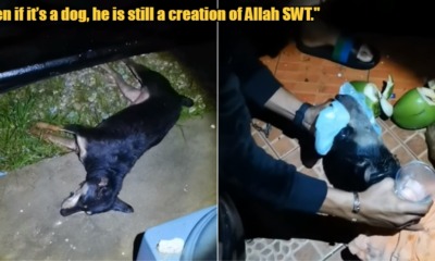 My Post 2021 12 08T132636.640 1