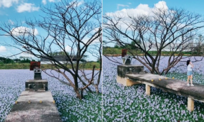 My Post 2021 12 14T160034.297