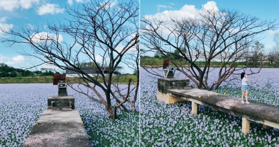 My Post 2021 12 14T160034.297