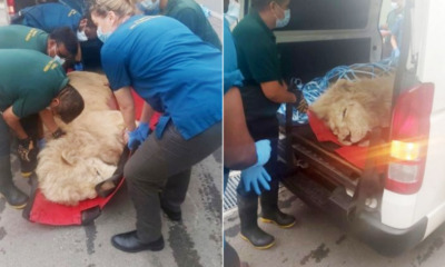 My Post 2021 12 15T173459.040