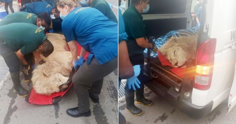 My Post 2021 12 15T173459.040