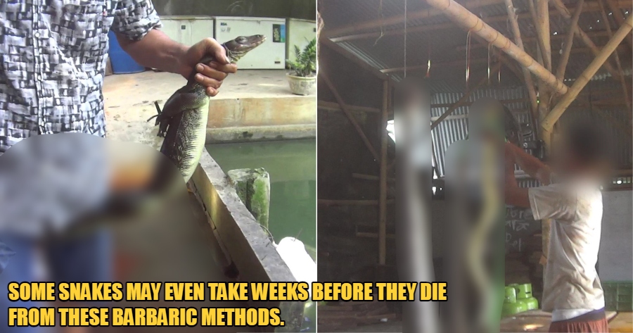 My Post 2021 12 28T152635.563 1