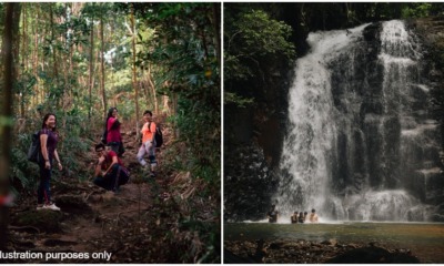 forest reserves in selangor closed to hikers