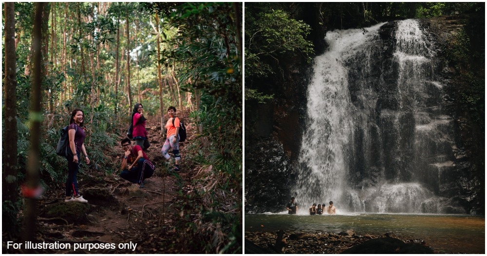 forest reserves in selangor closed to hikers