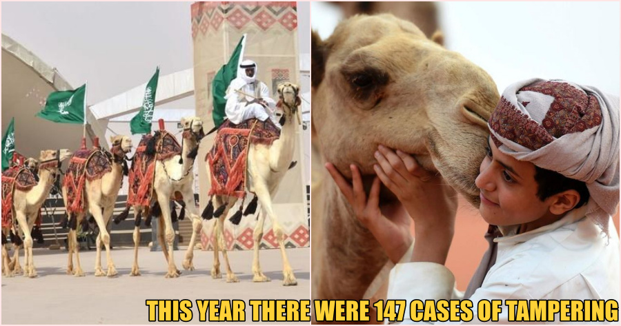 ft camel