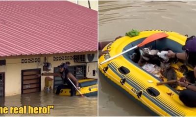 ft image man saves cat