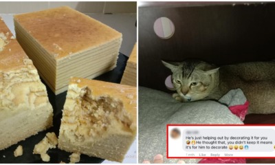 ft image mimet destroy cake