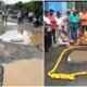 ft image pothole puja fix road