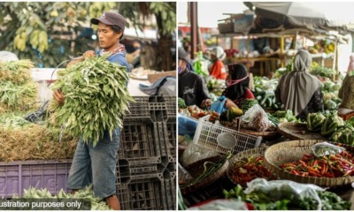 vegetable price hike