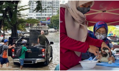 vet mobile clinic shah alam