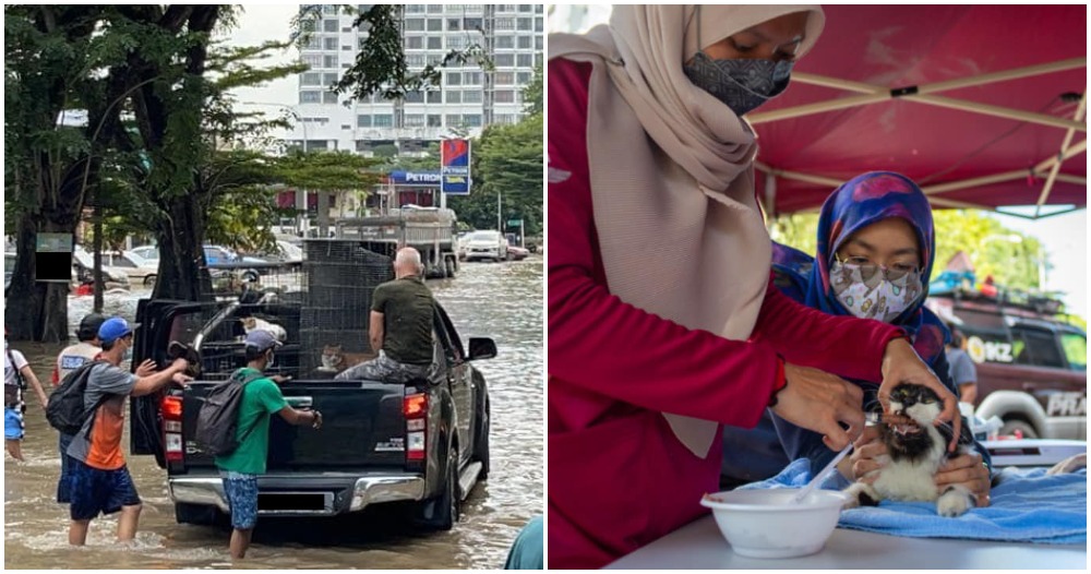 vet mobile clinic shah alam