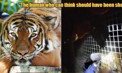 My Post 2022 01 04T103824.805 1