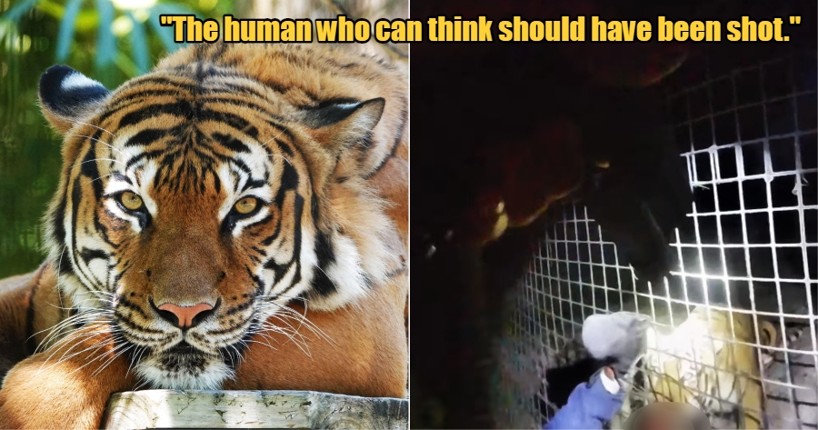 My Post 2022 01 04T103824.805 1