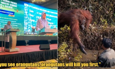 My Post 2022 01 20T142753.043