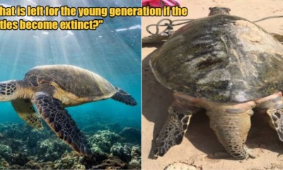 My Post 2022 01 26T121827.657