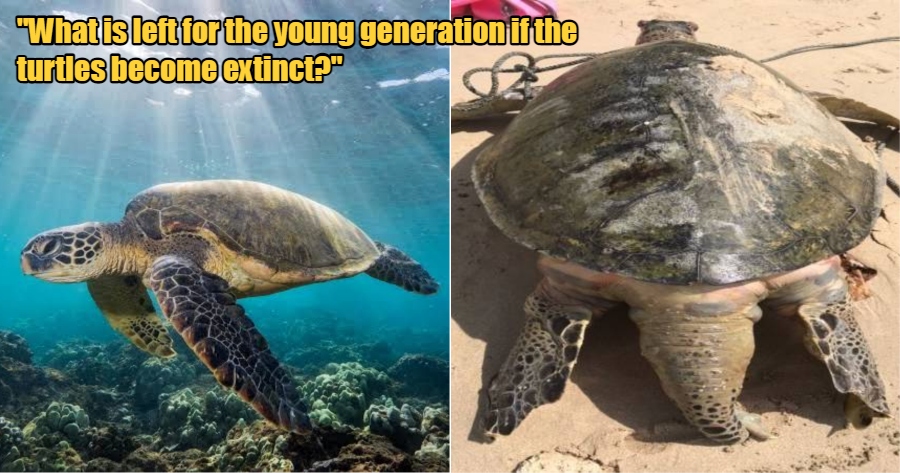 My Post 2022 01 26T121827.657