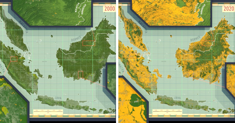 deforestation malaysia
