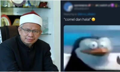 ft image cute halal