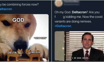 ft image deltacron memes